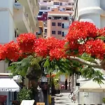 Apartment Ocean View Over Cristianos, Playa Vistas *