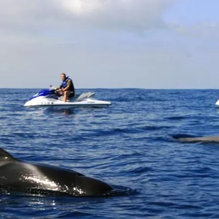 Ocean View Over Cristianos, Playa Vistas *